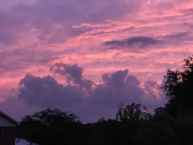 pink and lavender sunset