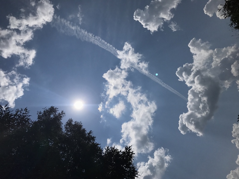 the sky with a tree, clouds, the sun, and a jet trail